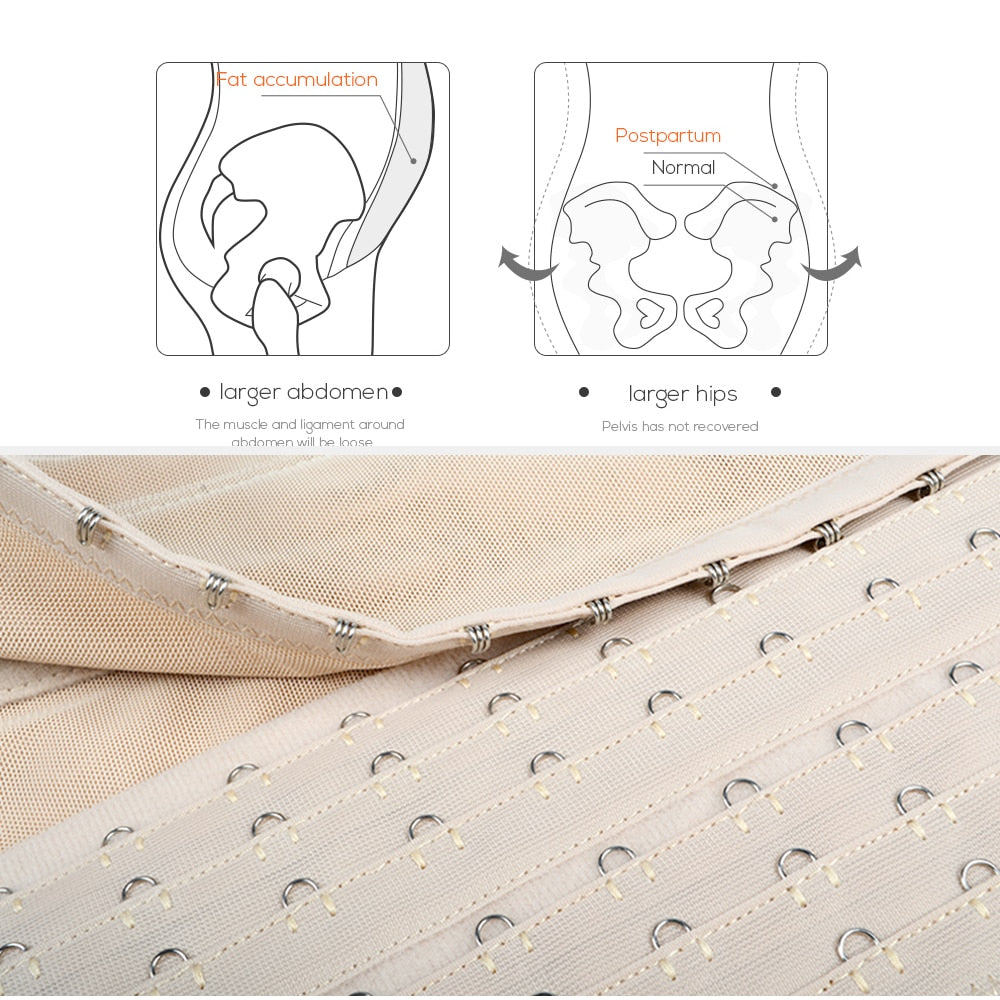 Sculpting Waist Trainer